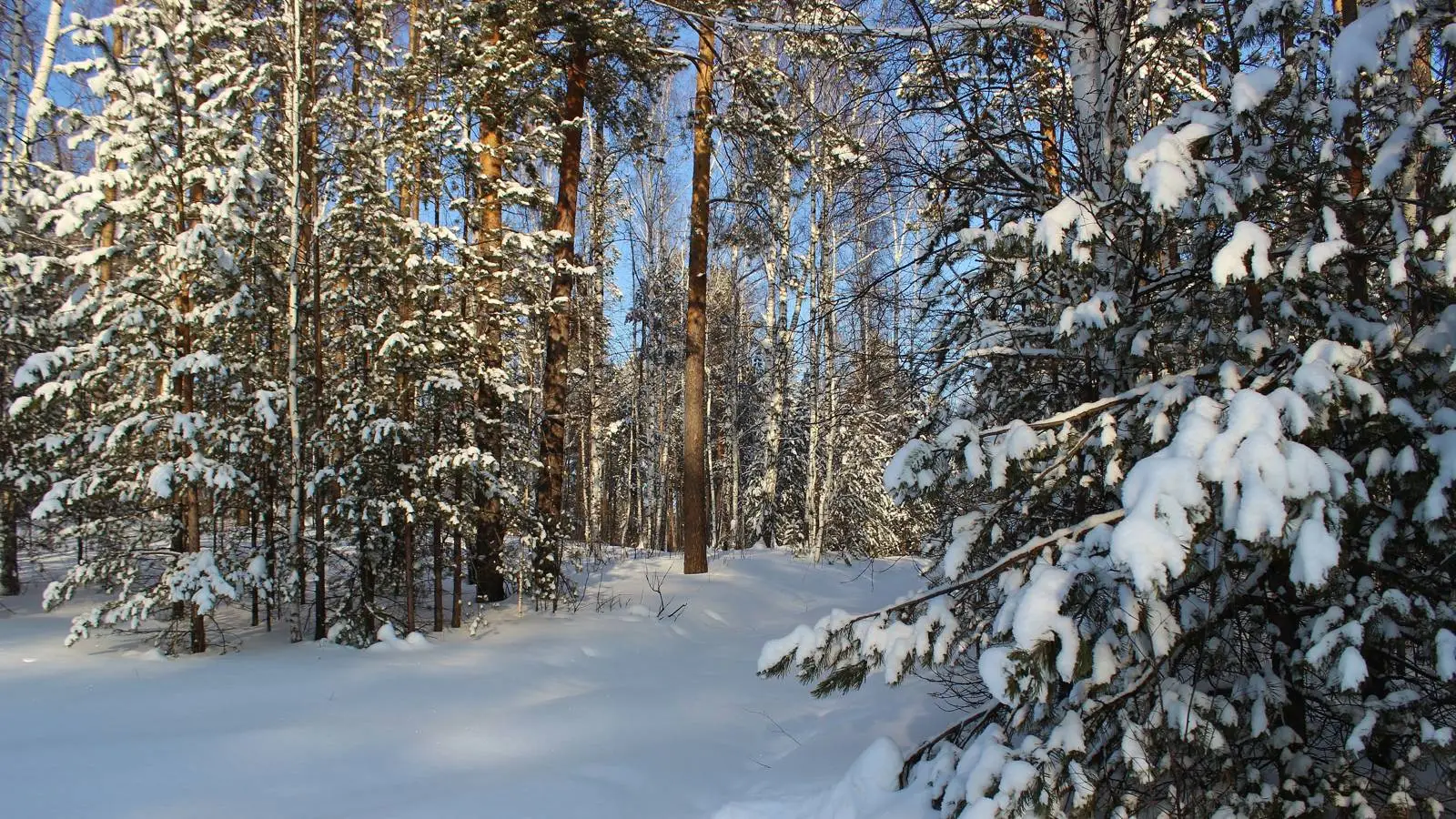 Park City inaugura una temporada invernal de lujo, nieve perfecta y grandes  novedades para 2025–2026 - Pasillo Turístico, image size:1600x900