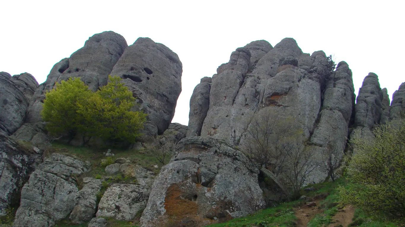 камни, кусты