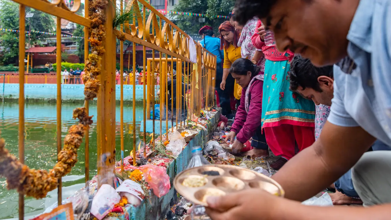 люди, забор, еда, цветы