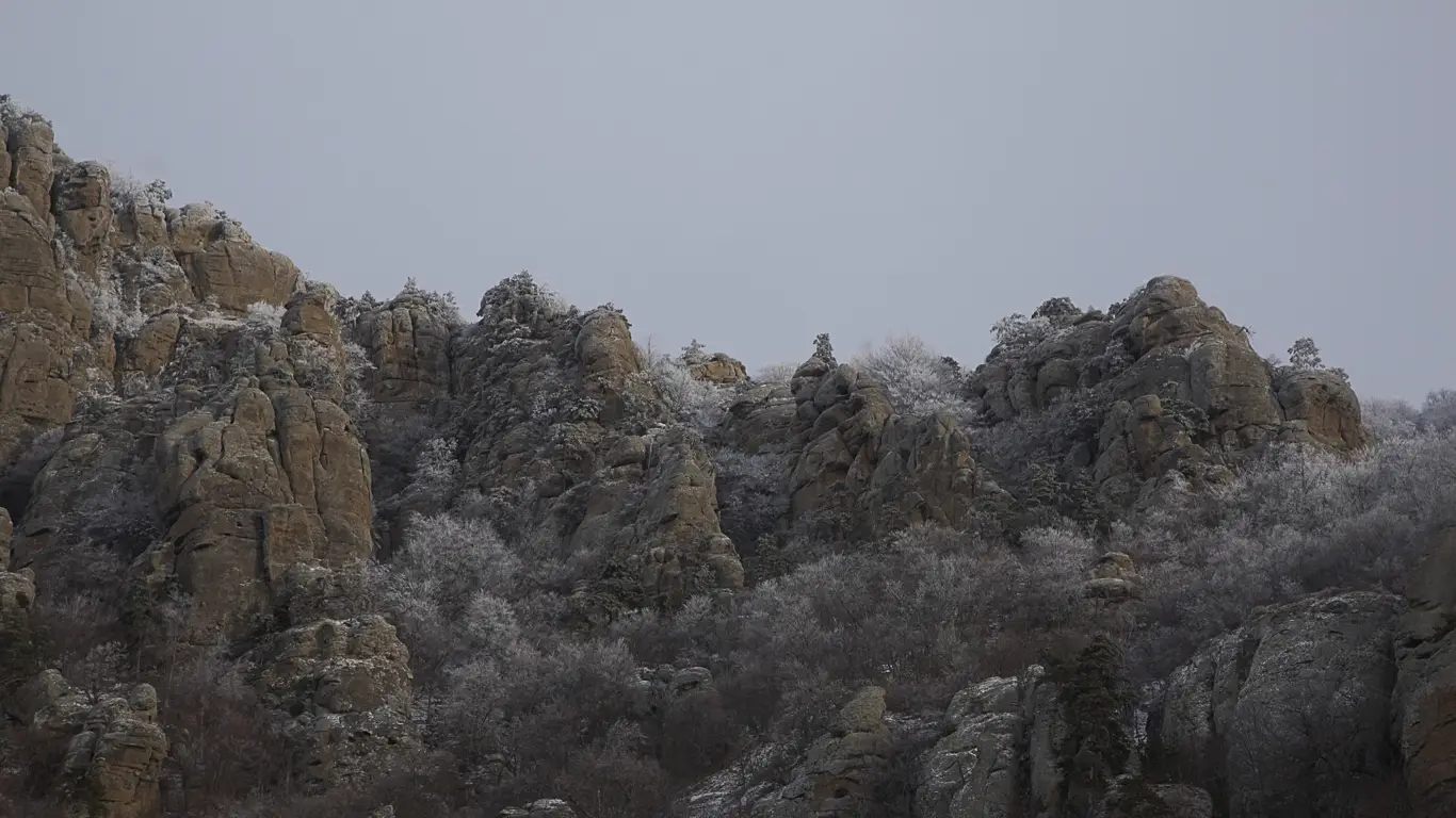 горы, деревья, небо