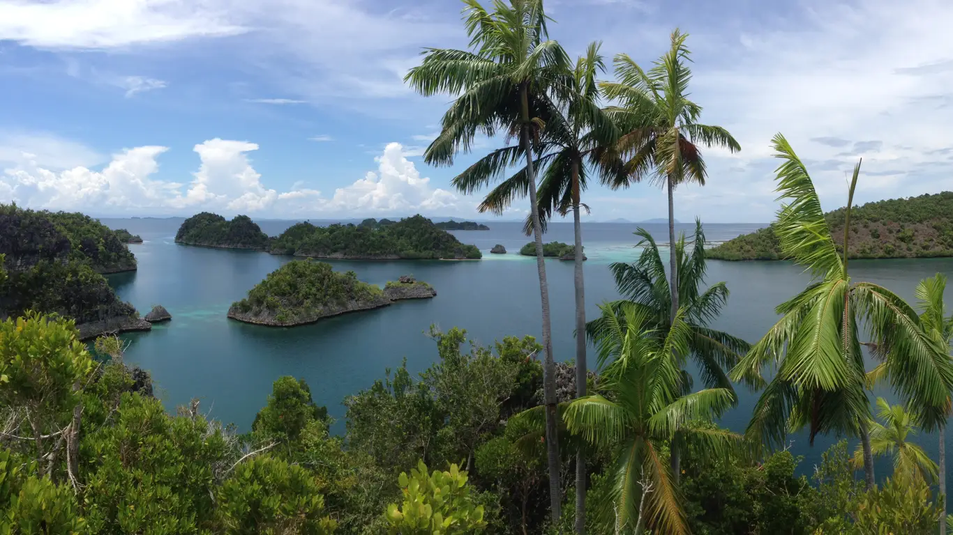 океан, пальмы, острова