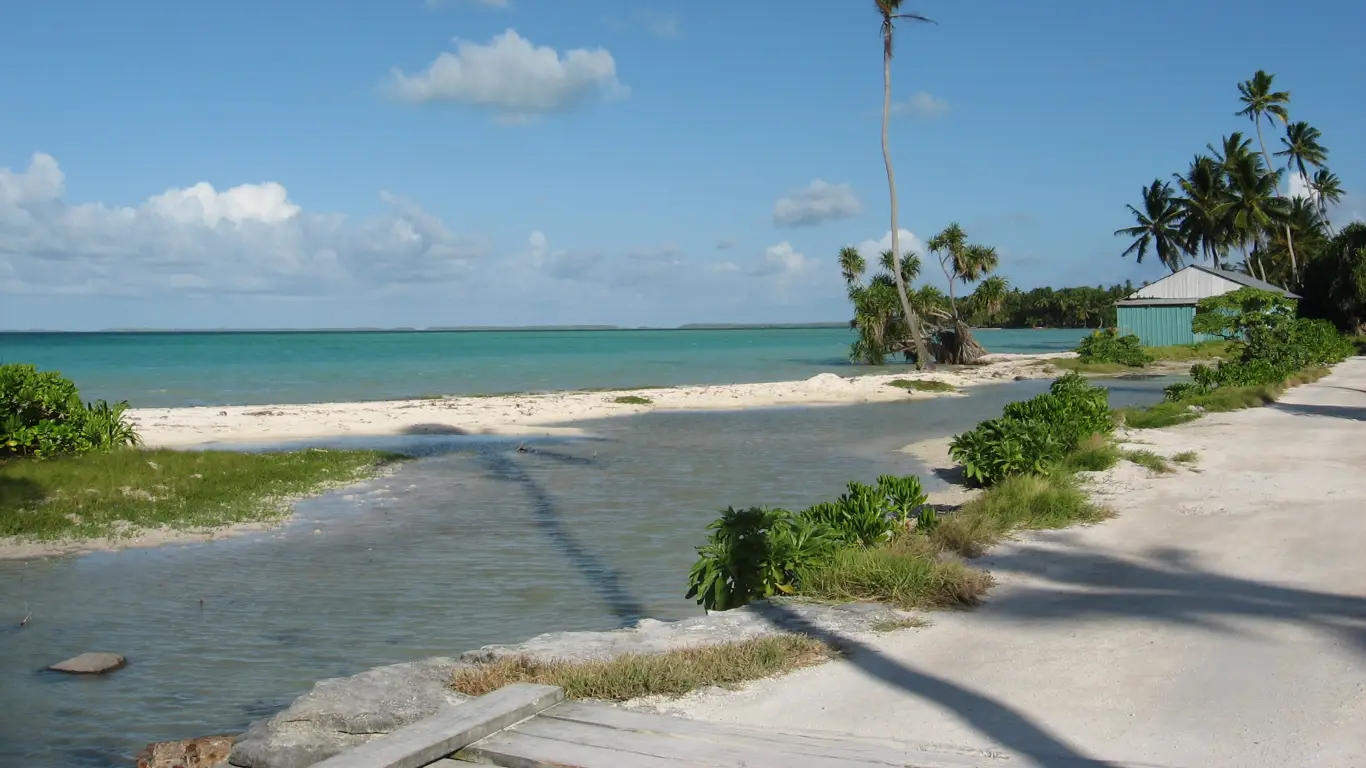 океан, берег, дом, растения