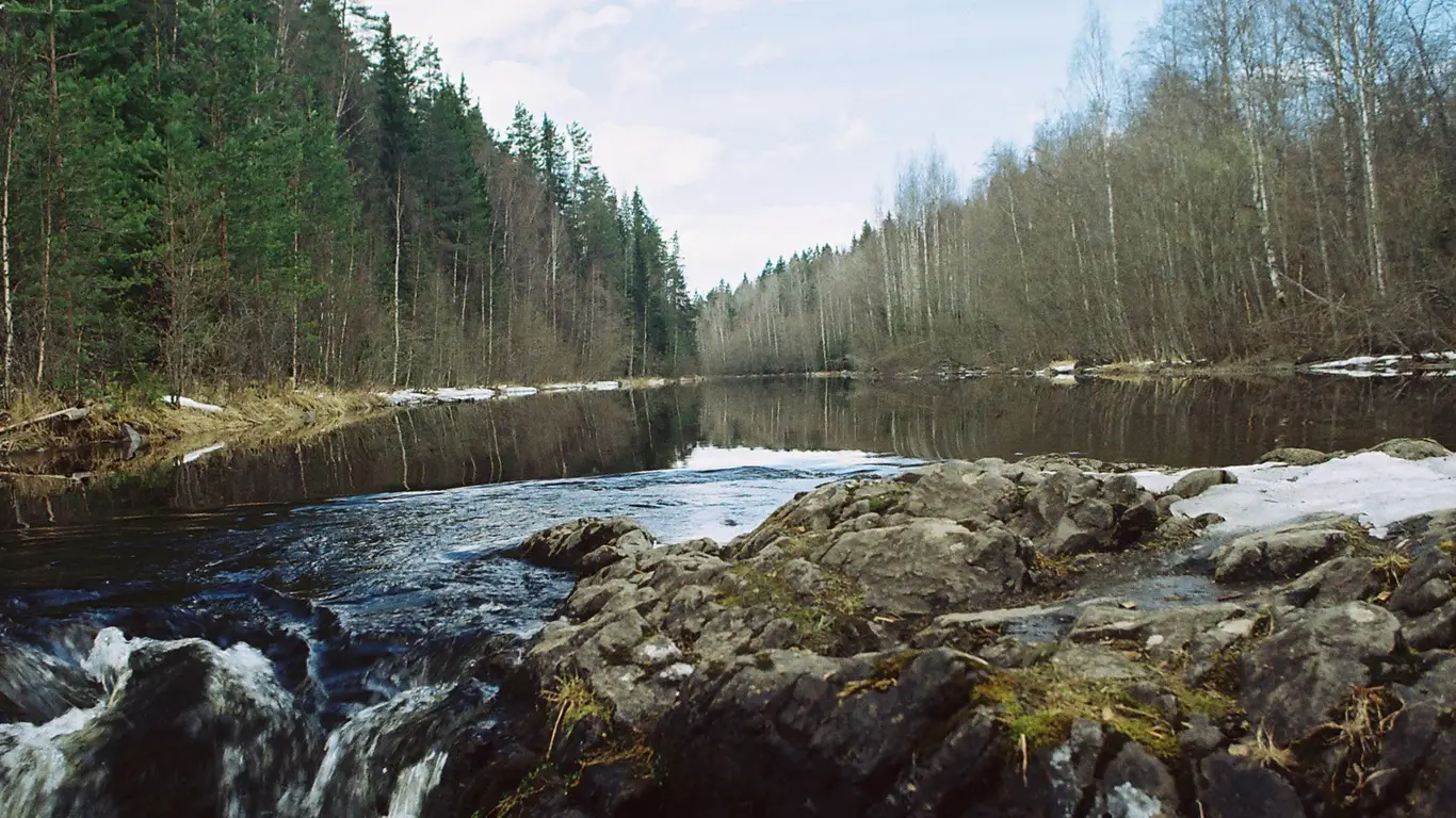 озеро, лес, камни