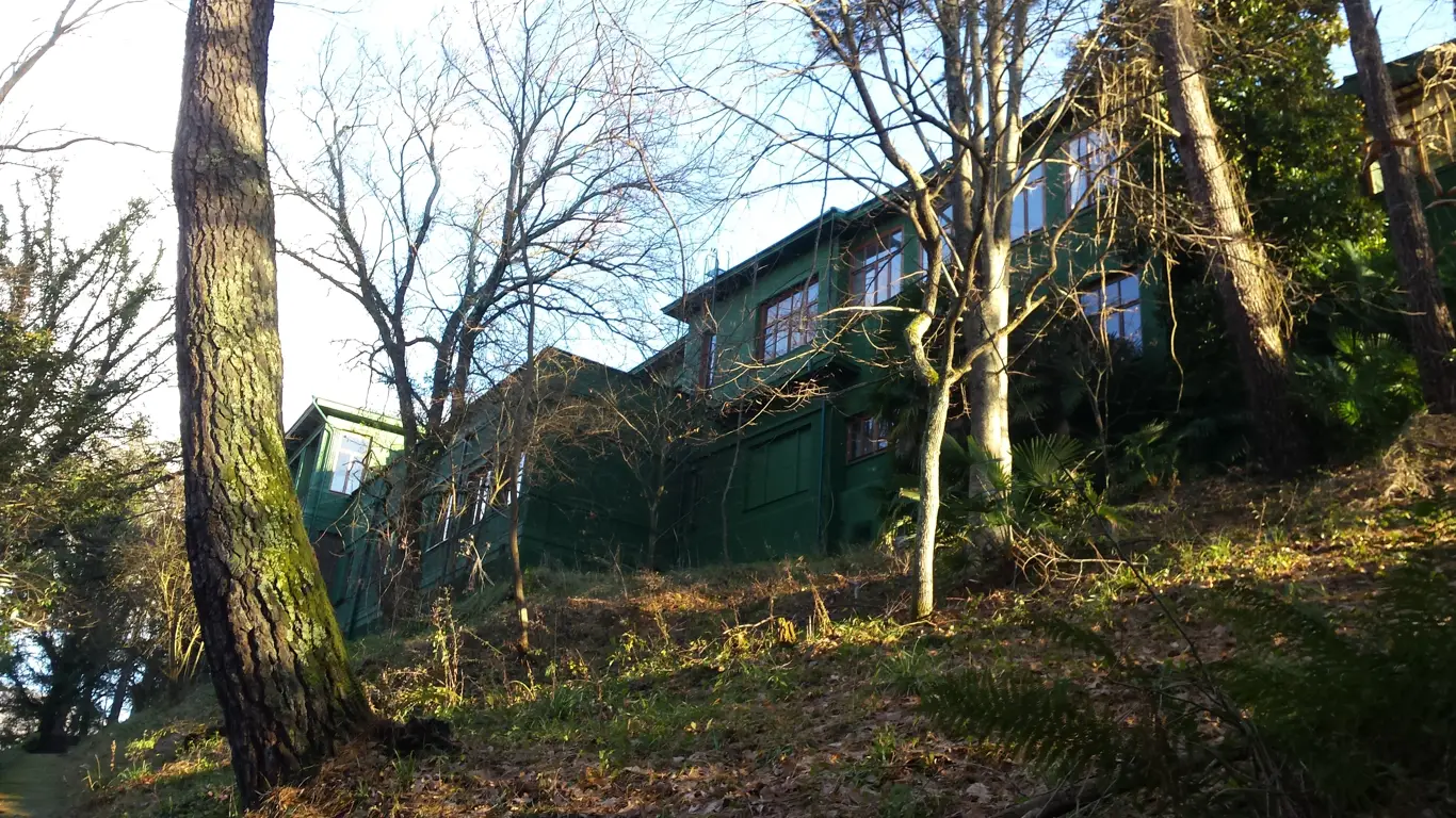 дом, деревья