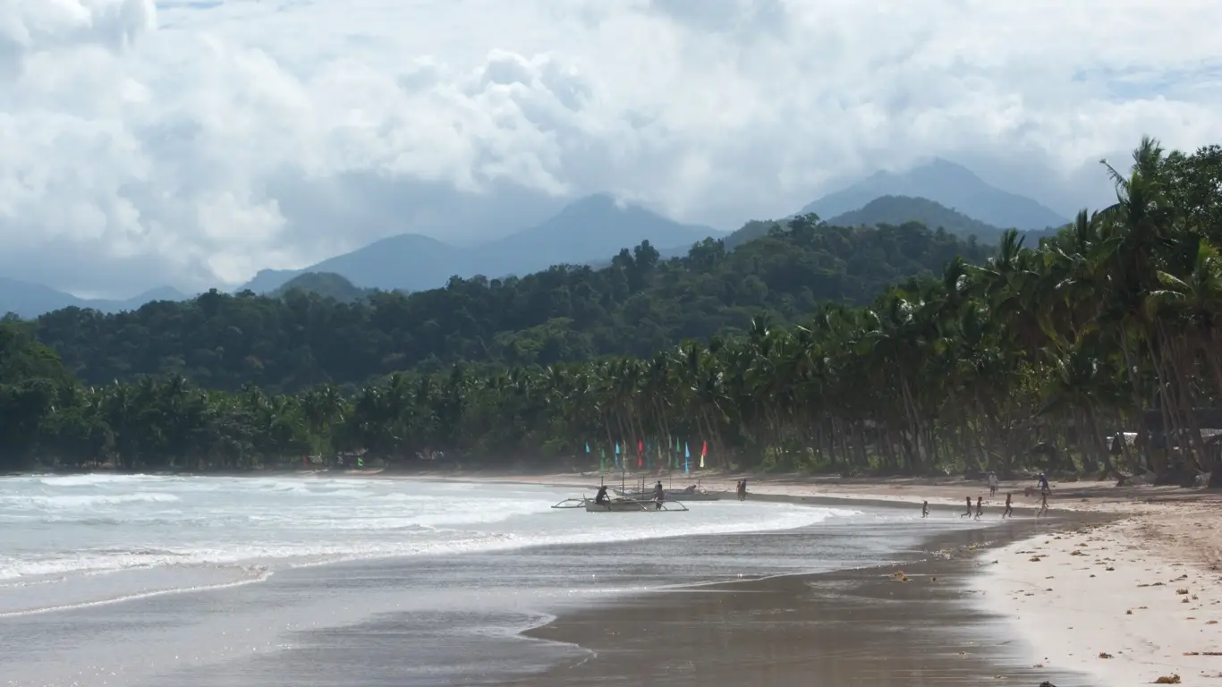 океан, деревья, пляж, лодка