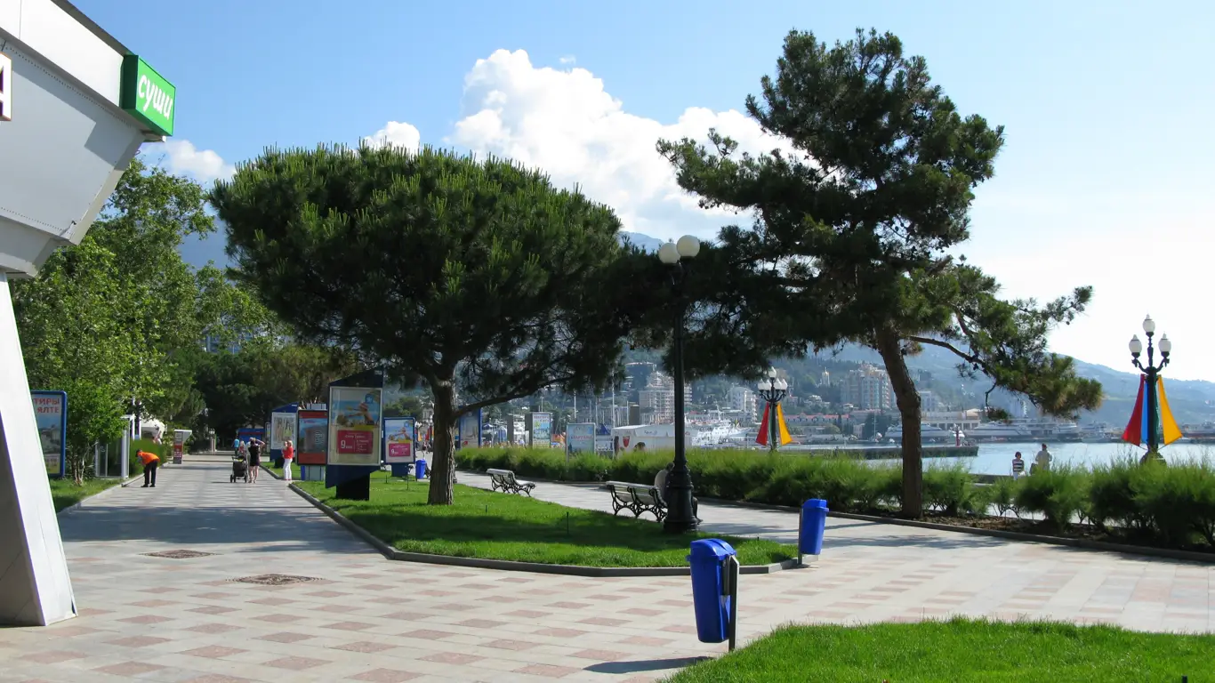 улица, деревья