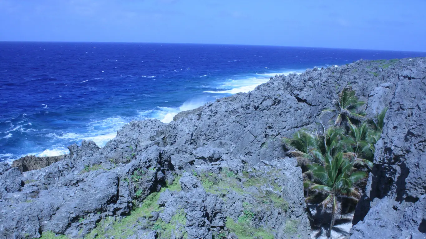 океан, горы, пальма