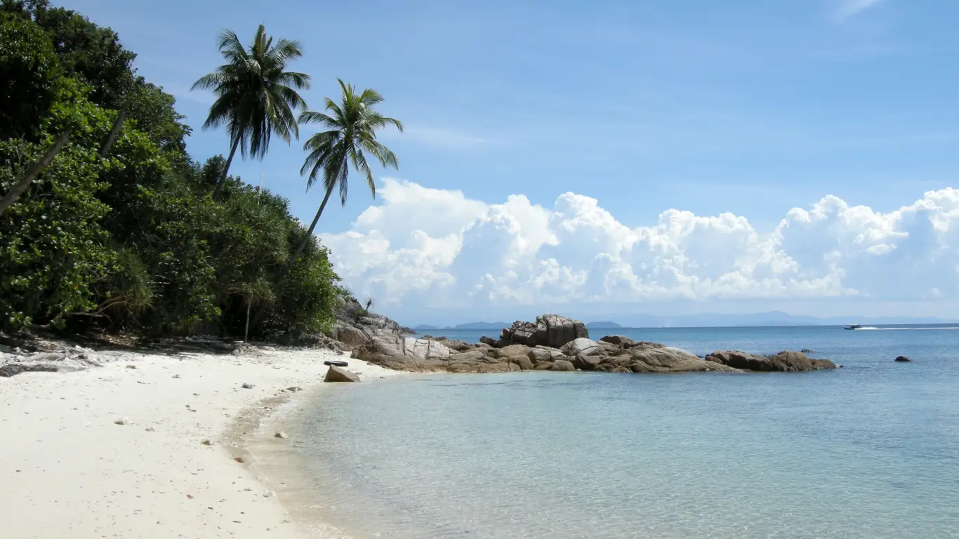 океан, пляж, пальмы